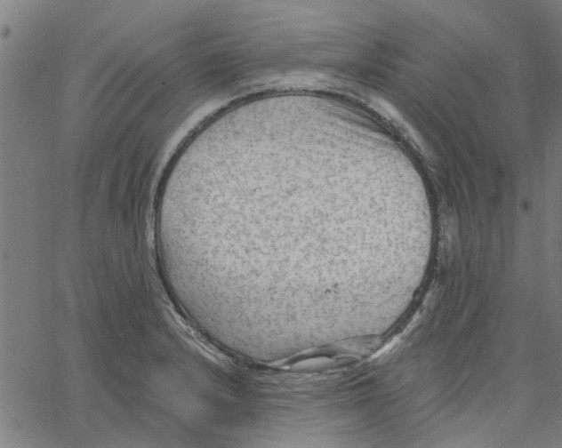 X0000067511232200604281600