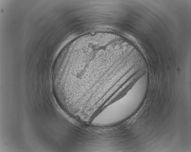 X0000067511235200604281600