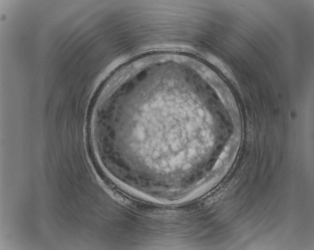 X0000067511237200604281600