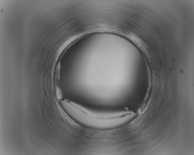 X0000067511238200604281600