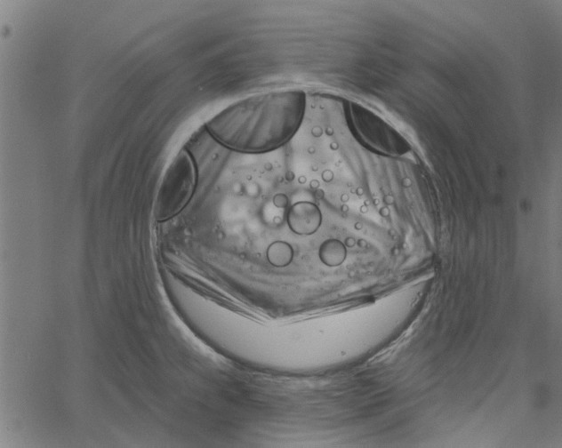 X0000067511239200604281600