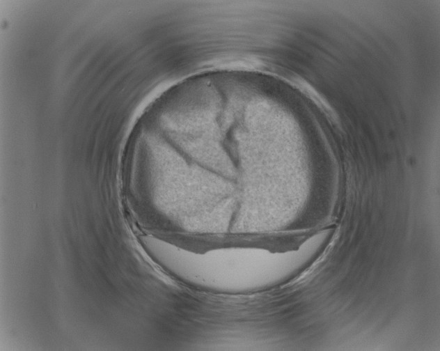 X0000067511240200604281600