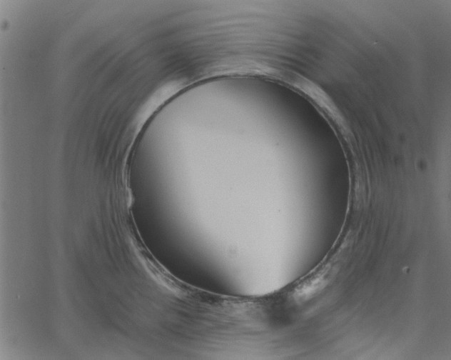 X0000067511242200604281600