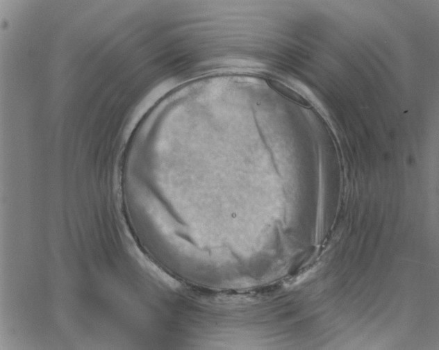 X0000067511243200604281600