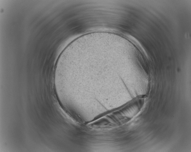 X0000067511244200604281600