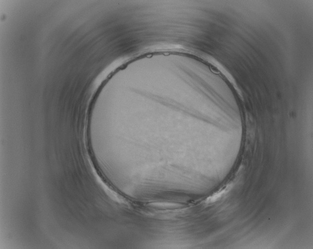 X0000067511245200604281600