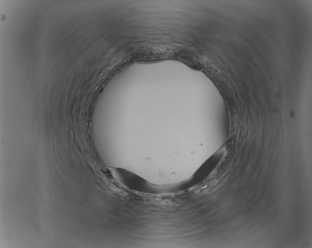 X0000067511249200604281559