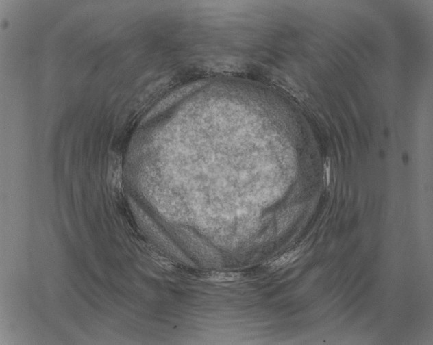 X0000067511251200604281559