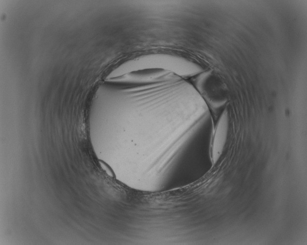 X0000067511252200604281559