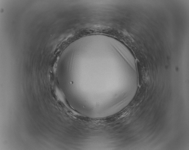 X0000067511253200604281559