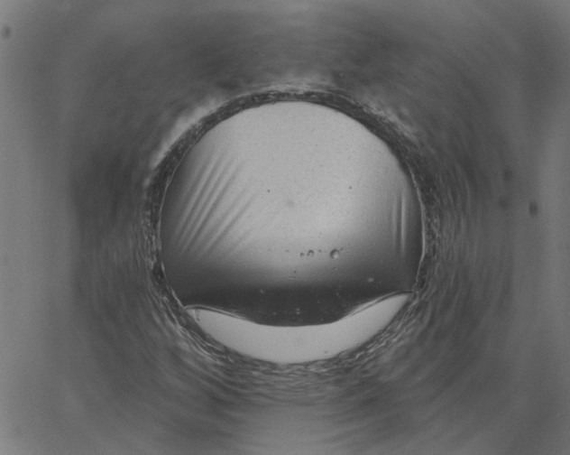 X0000067511256200604281559