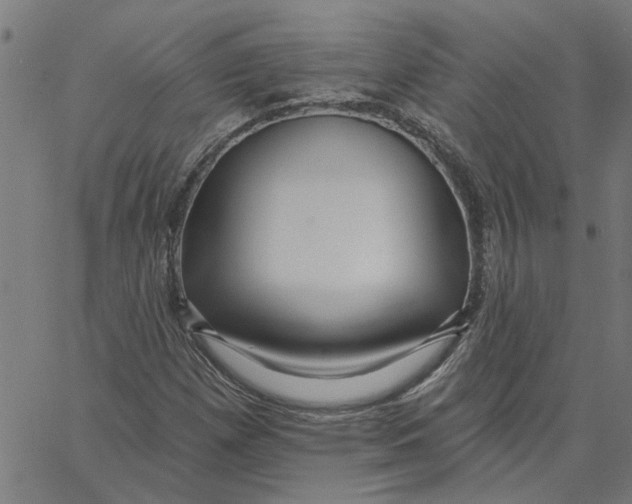 X0000067511257200604281559