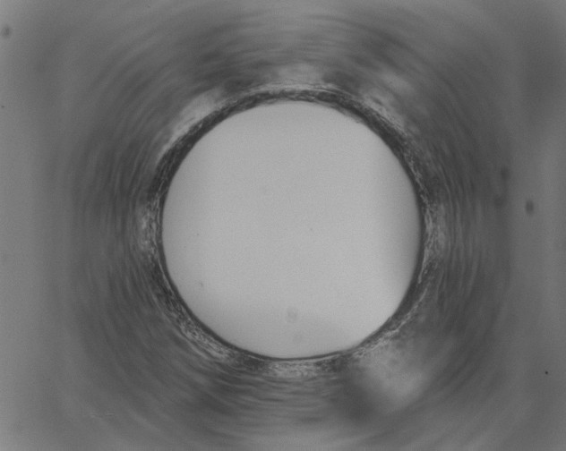 X0000067511258200604281559