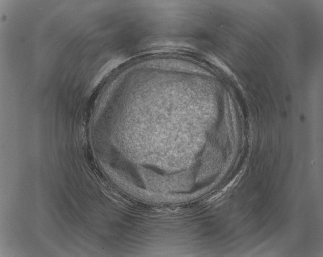 X0000067511259200604281559