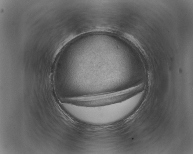 X0000067511260200604281559