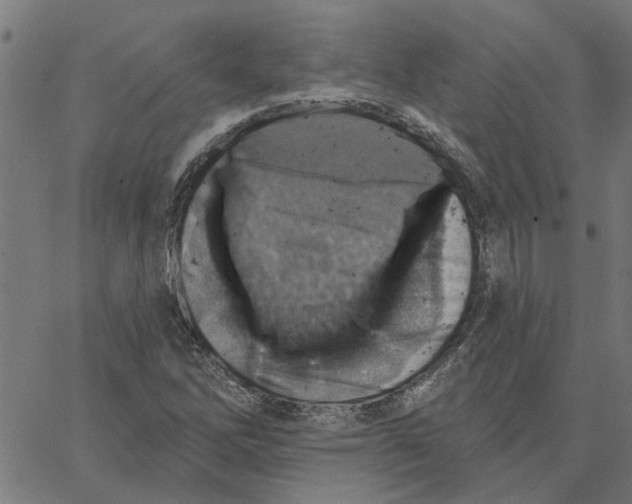 X0000067511262200604281559