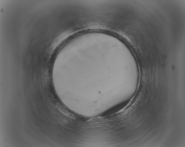 X0000067511263200604281559