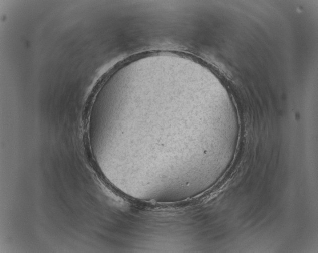 X0000067511264200604281559