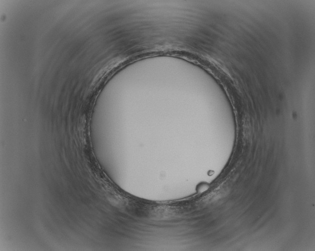 X0000067511265200604281559