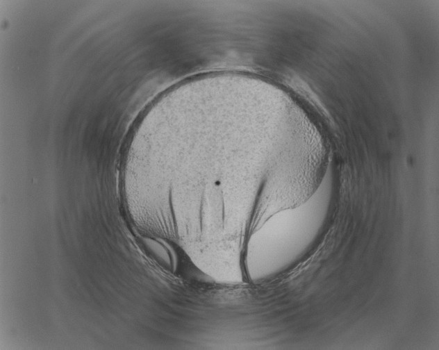 X0000067511268200604281559