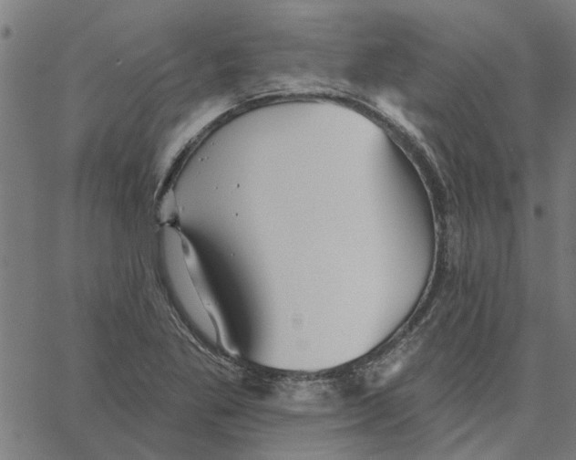 X0000067511269200604281559