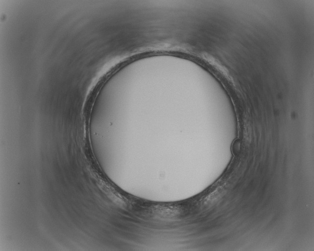 X0000067511270200604281559