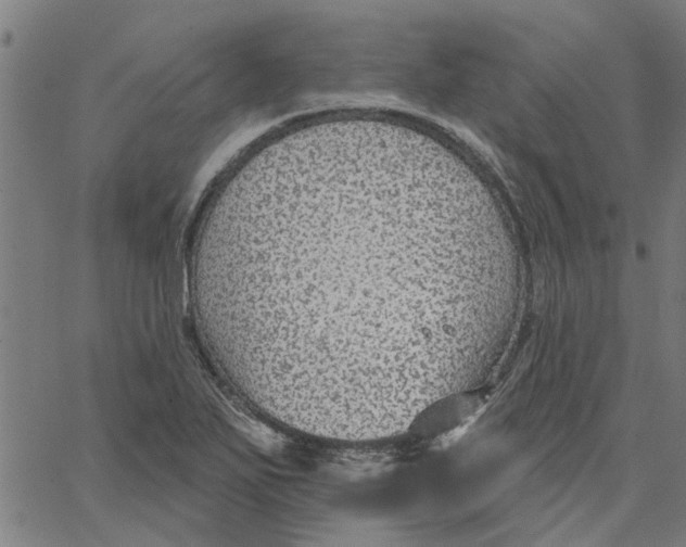 X0000067511271200604281559