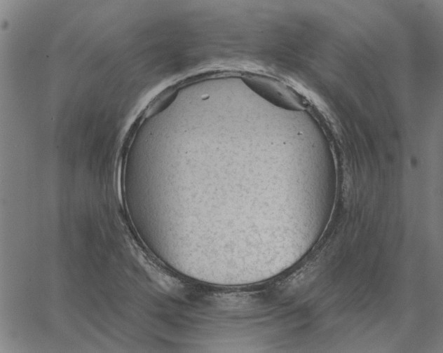 X0000067511272200604281559