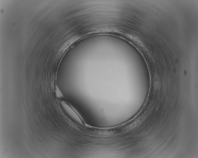 X0000067511273200604281559