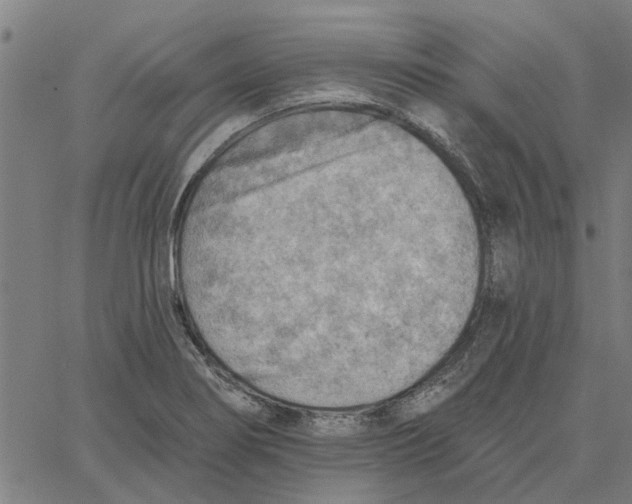 X0000067511274200604281559