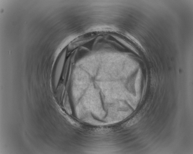 X0000067511277200604281559