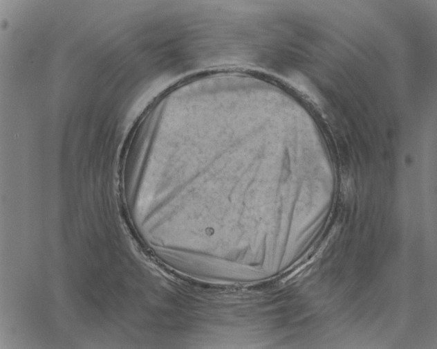 X0000067511279200604281559