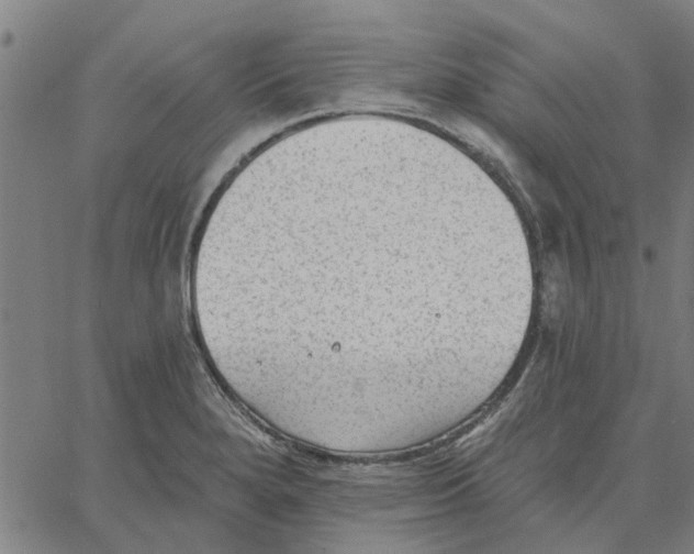 X0000067511280200604281559