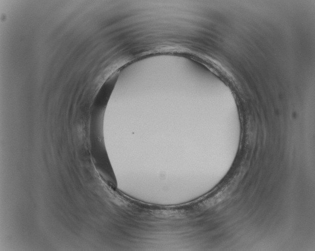 X0000067511281200604281559