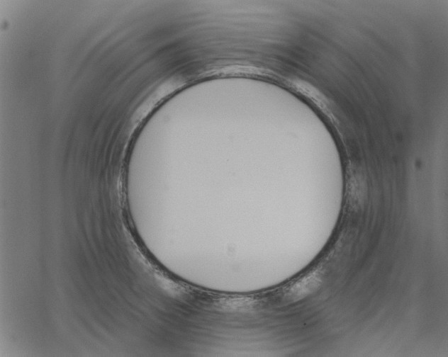 X0000067511282200604281559