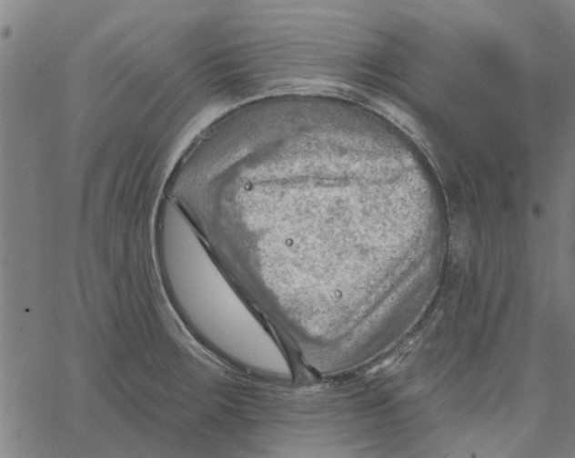 X0000067511283200604281559