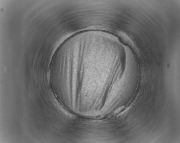 X0000067511284200604281559