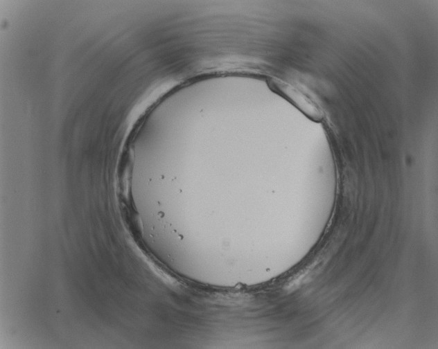 X0000067511285200604281559