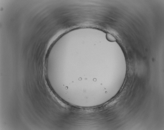 X0000067511286200604281559