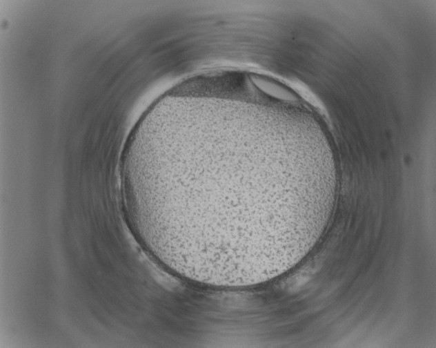 X0000067511287200604281559