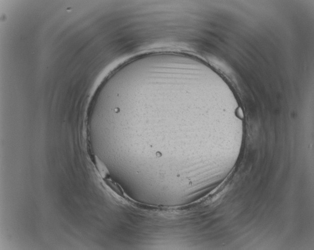 X0000067511288200604281559