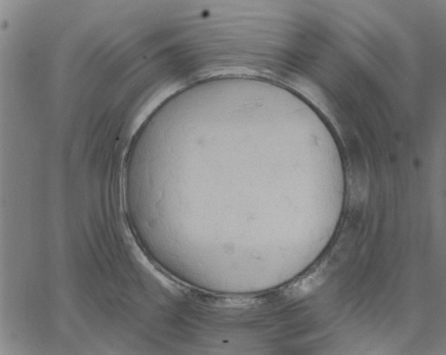 X0000067511290200604281559