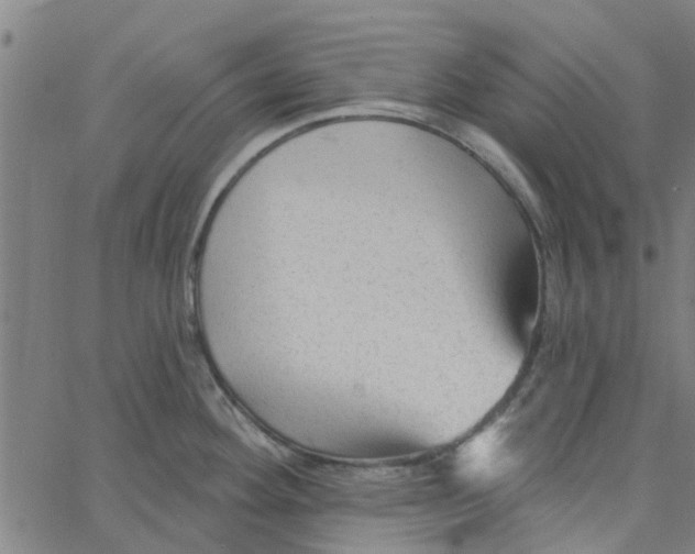 X0000067511292200604281559