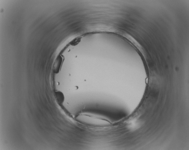 X0000067511293200604281559