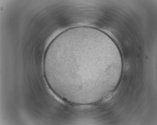 X0000067511294200604281559