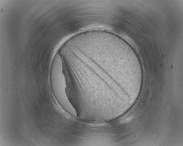 X0000067511296200604281559