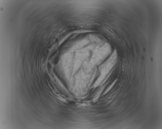 X0000067511298200604281558