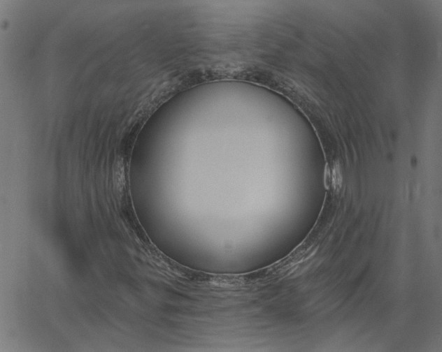 X0000067511299200604281558