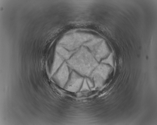 X0000067511300200604281558