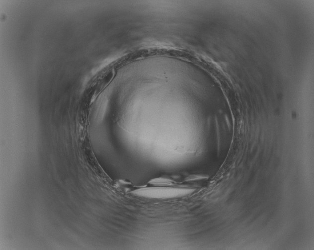 X0000067511303200604281558